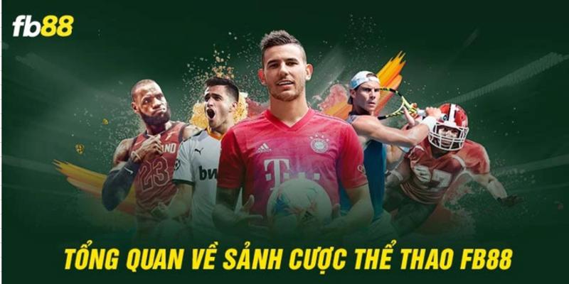 Tìm Hiểu Về Cá Cược Thể Thao FB88