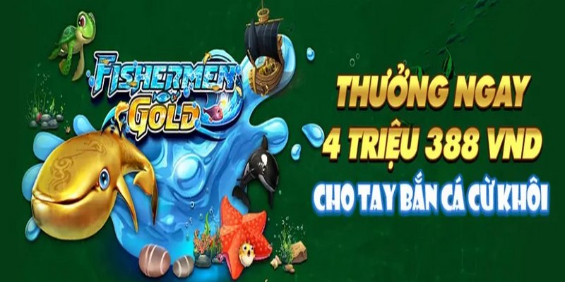 Đánh Giá Chiến Lược Cá Cược