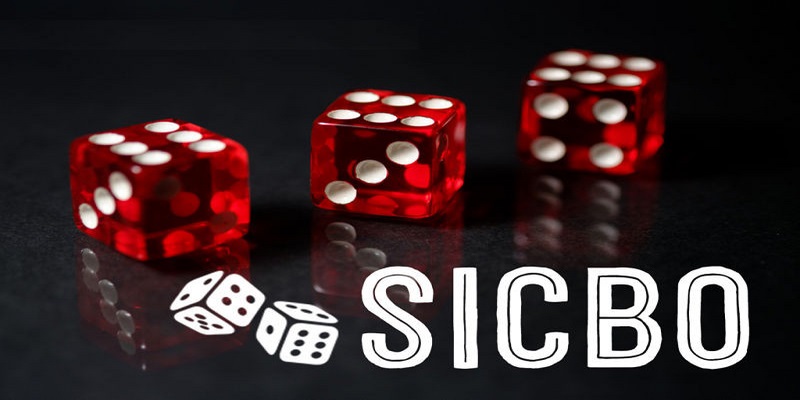 Sử Dụng Chiến Lược Cược